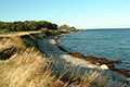 Strandküste Fehmarn